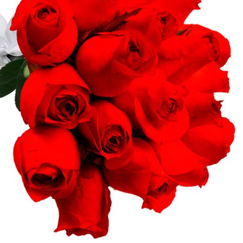 Buquê de 18 Rosas Vermelhas