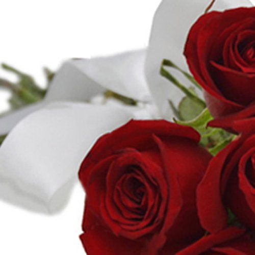 Buquê de 12 Rosas Vermelhas