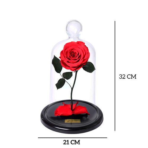 A Rosa Encantada