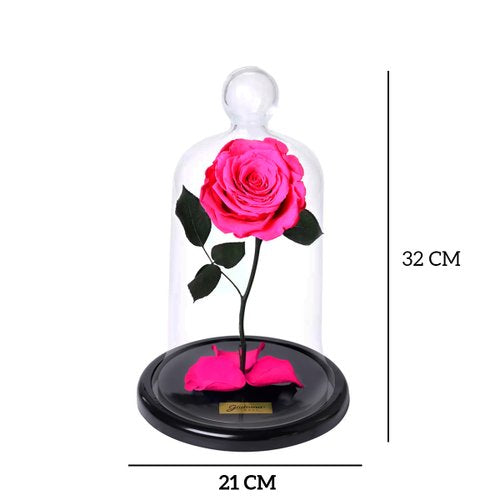 A Rosa Encantada Pink