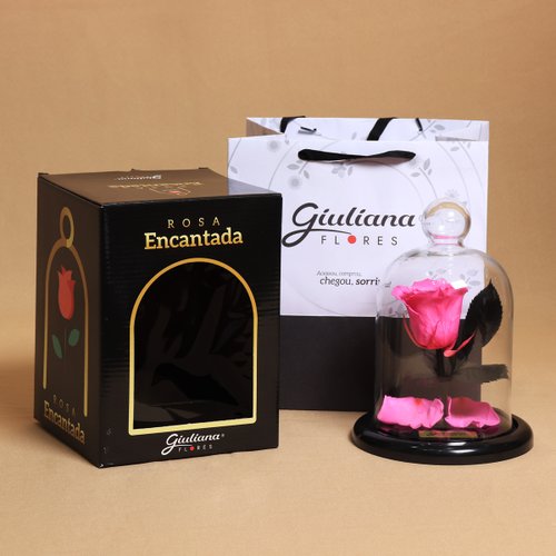 Mini Rosa Encantada Pink