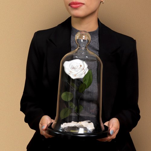 A Rosa Encantada Branca