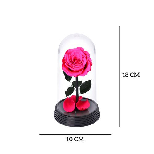 A Bela Rosa Encantada Pink