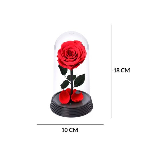 A Bela Rosa Encantada Vermelha