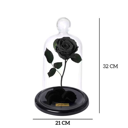 A Rosa Encantada Preta