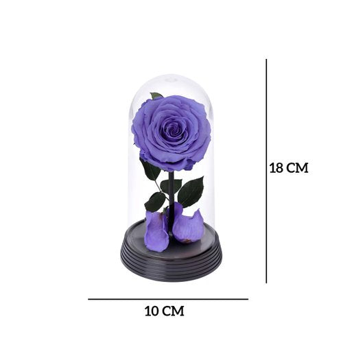 A Bela Rosa Encantada Lílas