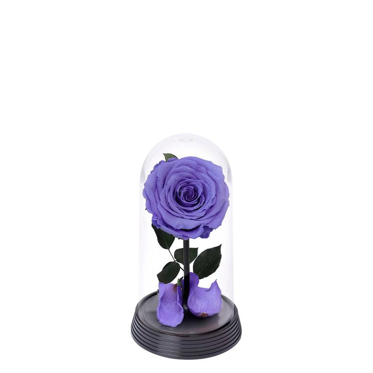 A Bela Rosa Encantada Lílas