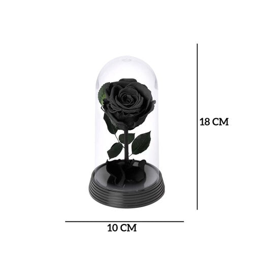 A Bela Rosa Encantada Preta