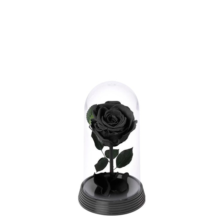 A Bela Rosa Encantada Preta