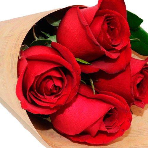 Buquê de 4 Rosas Vermelhas