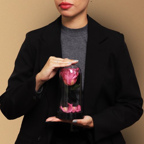 A Bela Rosa Encantada Roxa