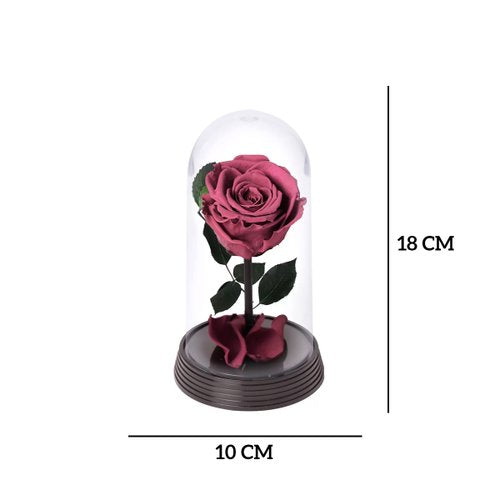 A Bela Rosa Encantada Roxa