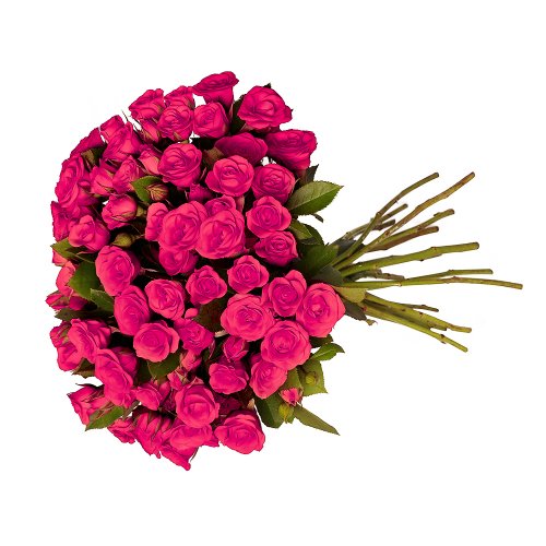 Buquê Royal de Mini Spray Pink