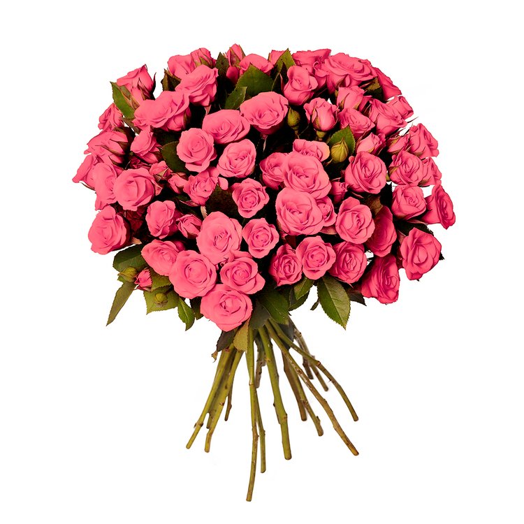 Buquê Royal de Mini Spray Cor de Rosa