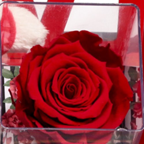 Cesta Love